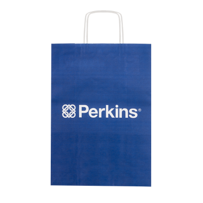 Kraft paper bag -Pk of 25